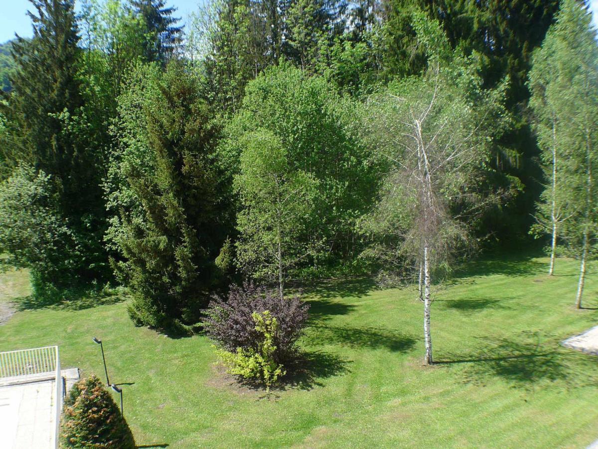 Appartement Confortable Avec Piscines, Terrasse Et Parking A Samoens - Fr-1-629-100 Экстерьер фото